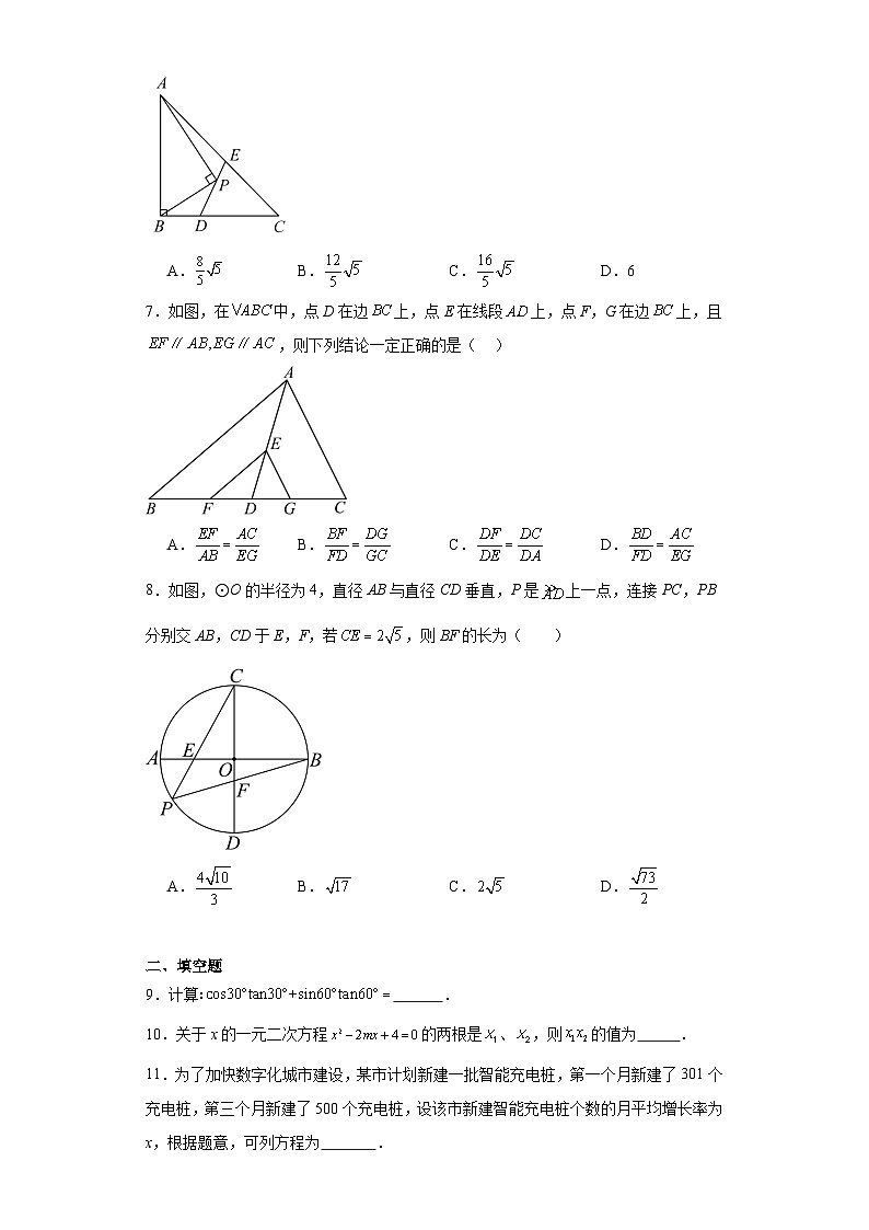 期末经典题型检测卷2023-2024学年数学九年级上册青岛版02