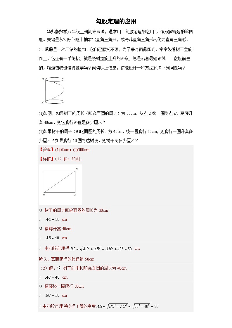 【专项练习】全套专题数学八年级上册专题04 勾股定理的应用(解析版)第1页