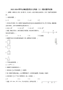 2023-2024学年云南省昆明市七年级(上)期末数学试卷(含解析)