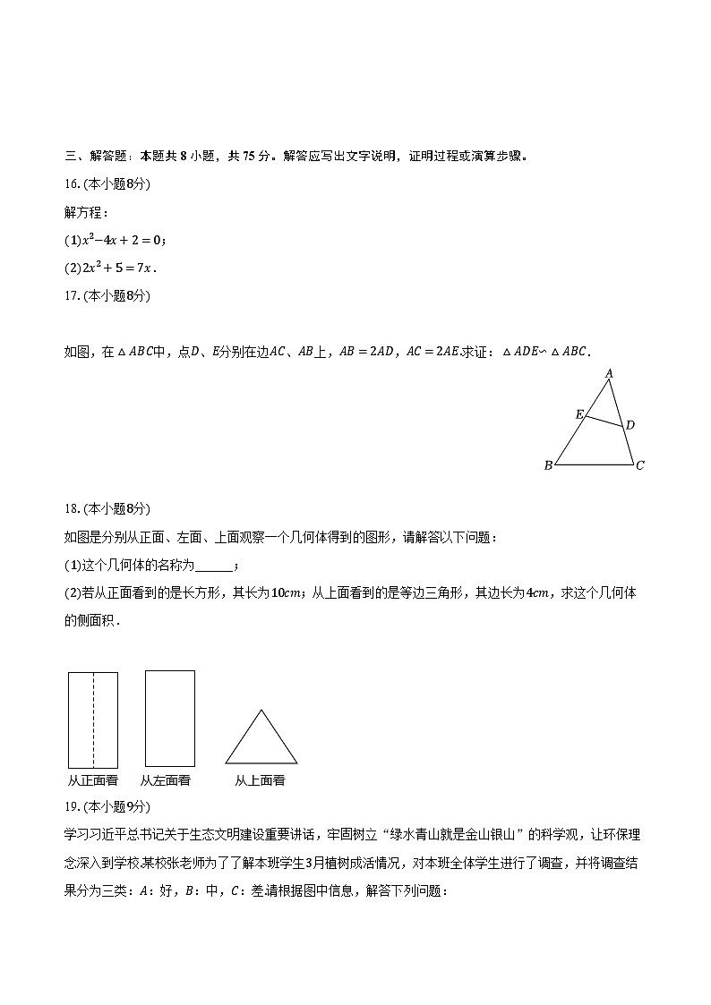 2023-2024学年广东省揭阳市九年级(上)期末数学试卷(含解析)第3页