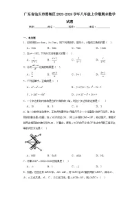 广东省汕头市澄海区2023-2024学年八年级上学期期末数学试题(含答案)