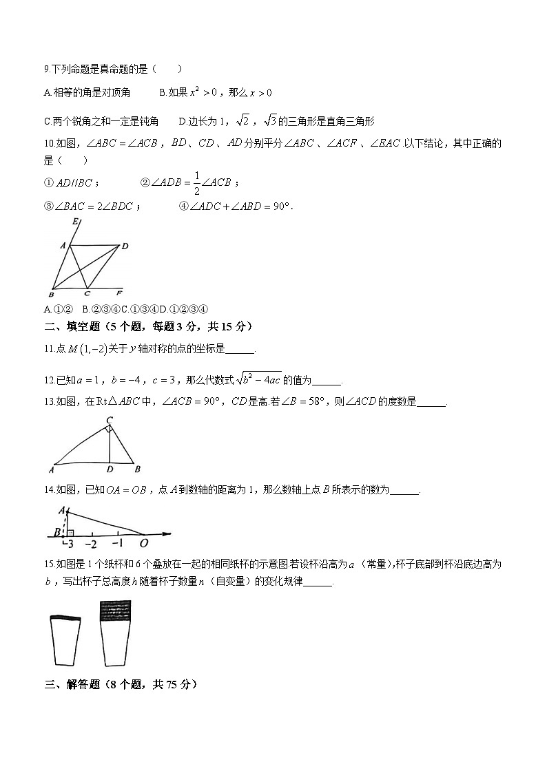 广东省佛山市顺德区2023-2024学年八年级上学期期末数学试题(无答案)02