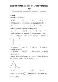 陕西省渭南市蒲城县2023-2024学年八年级上学期期末数学试题(含答案)