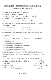 上海市闵行区2023—2024学年八年级上学期期末考试数学试题