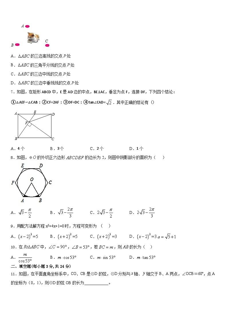 2023-2024学年合肥市寿春中学数学九年级第一学期期末质量检测模拟试题含答案02