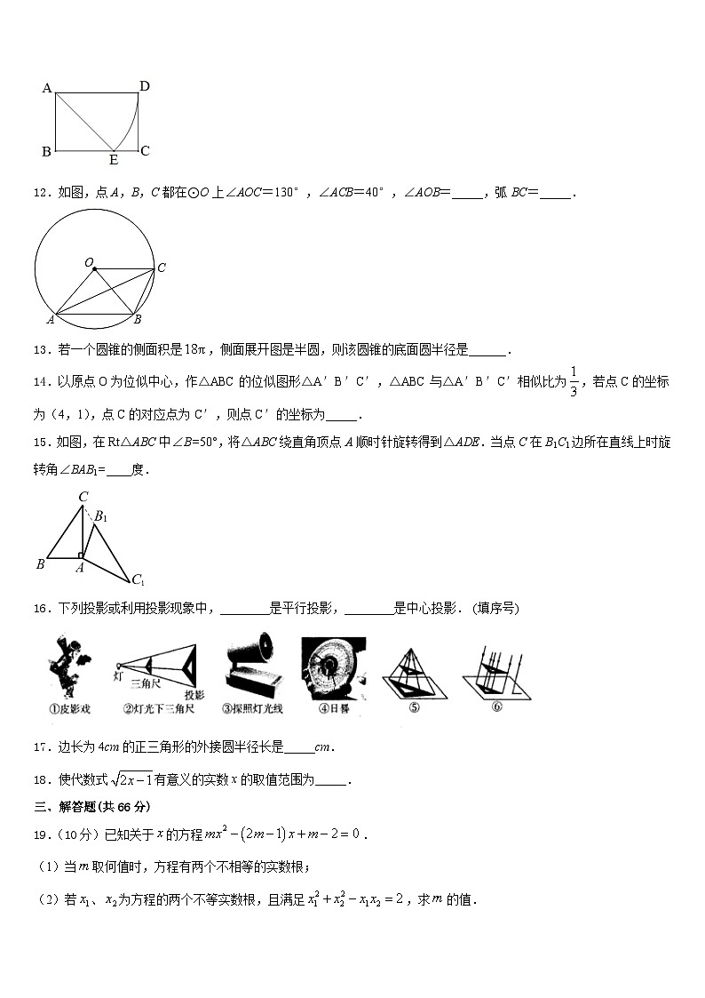 2023-2024学年山东省菏泽市郓城县数学九年级第一学期期末检测试题含答案第3页