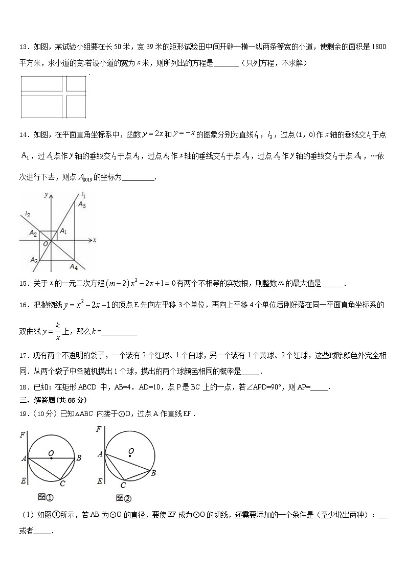2023-2024学年广西南宁市武鸣区数学九上期末复习检测试题含答案第3页