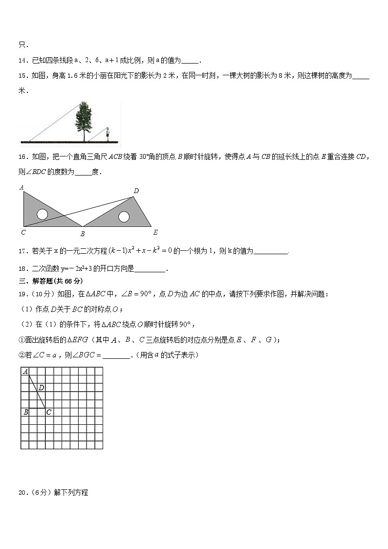 2023-2024学年广西省数学九上期末学业质量监测模拟试题含答案03