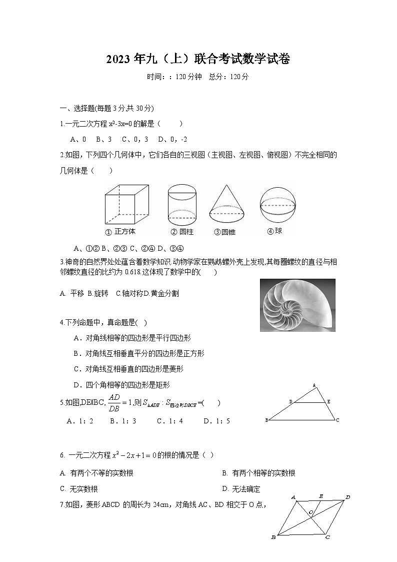 辽宁省丹东市五校2024届九年级上学期12月联考数学试卷(含答案)第1页