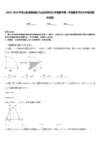 2023-2024學(xué)年山東省陵城區(qū)江山實驗學(xué)校九年級數(shù)學(xué)第一學(xué)期期末學(xué)業(yè)水平測試模擬試題含答案