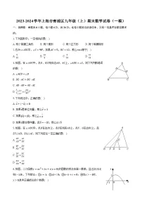 2023-2024学年上海市青浦区九年级（上）期末数学试卷（一模）（含解析）
