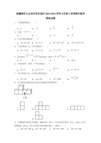 新疆维吾尔自治区和田地区2023-2024学年七年级上学期期末数学模拟试题（含答案）