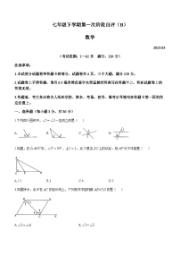 河南省安阳市林州市2022-2023学年七年级下学期3月月考数学试题
