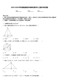 2023-2024学年陕西省西安市碑林区数学九上期末考试试题含答案