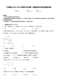 广东惠城区2023-2024学年数学九年级第一学期期末教学质量检测模拟试题含答案