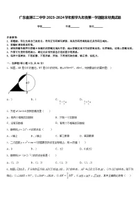 广东省湛江二中学2023-2024学年数学九年级第一学期期末经典试题含答案