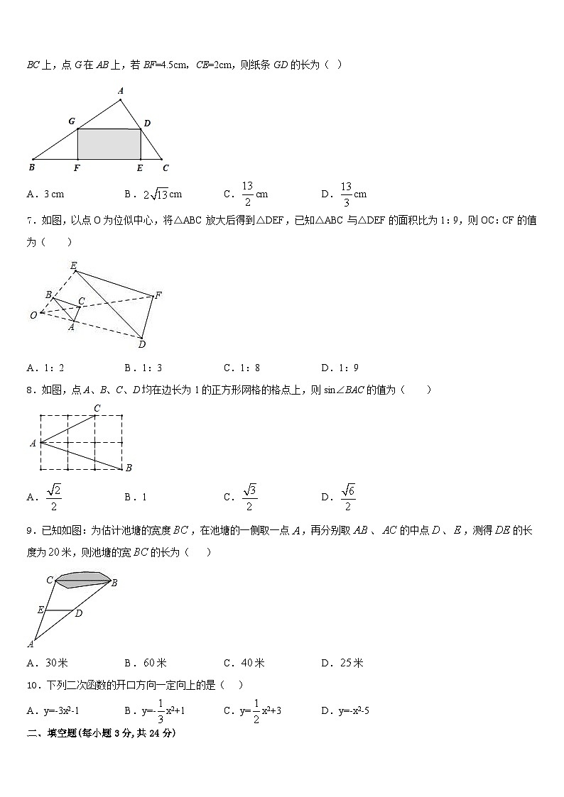 河北省邢台市宁晋县东城实验中学2023-2024学年数学九上期末质量检测试题含答案第2页