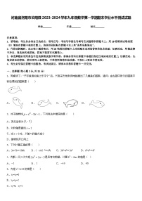 河南省洛阳市汝阳县2023-2024学年九年级数学第一学期期末学业水平测试试题含答案