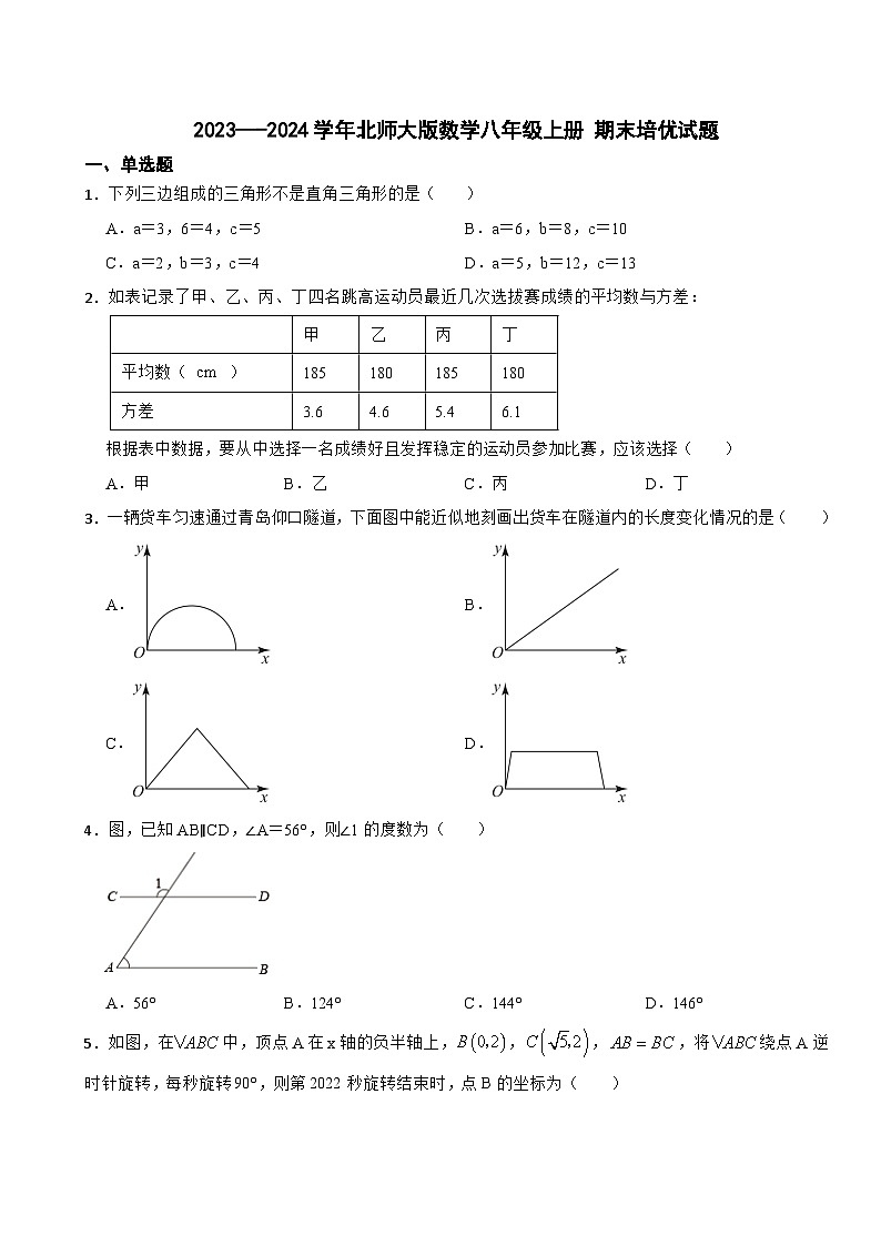 北师大版2023—-2024学年数学八年级上册 期末培优试题01