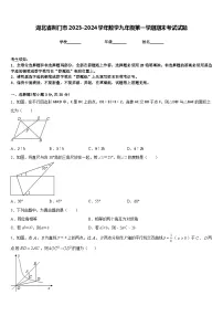 湖北省荆门市2023-2024学年数学九年级第一学期期末考试试题含答案