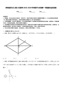 贵州省遵义汇川区六校联考2023-2024学年数学九年级第一学期期末监测试题含答案