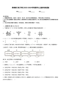 贵州铜仁伟才学校2023-2024学年数学九上期末检测试题含答案