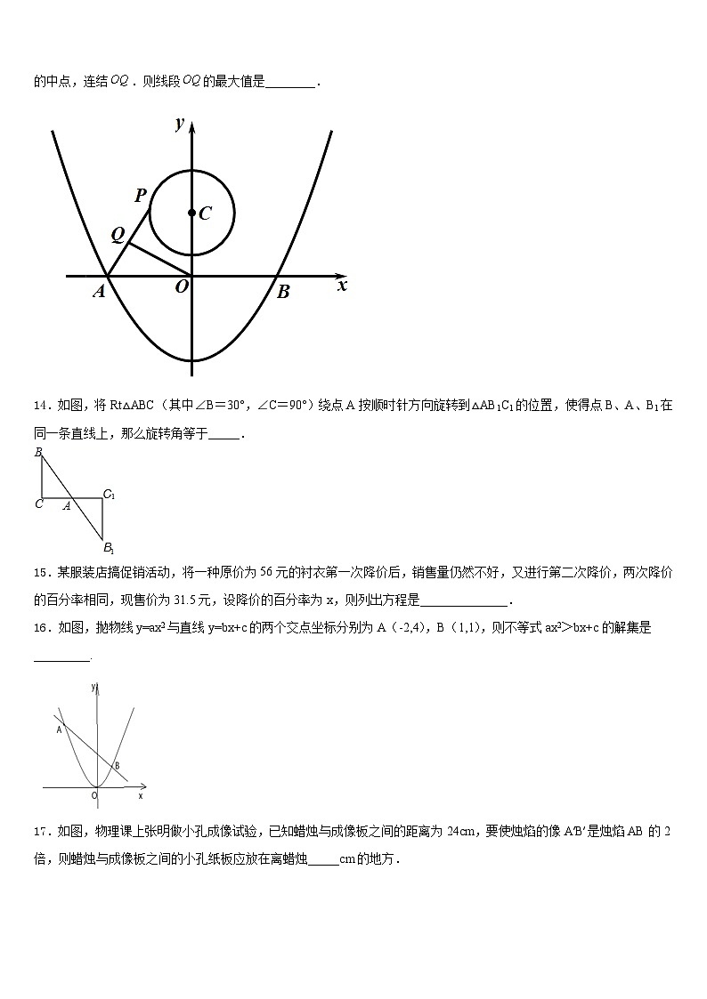 2023-2024学年嘉兴市秀洲区九上数学期末复习检测模拟试题含答案03