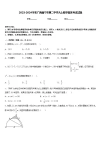 2023-2024学年广西南宁市第二中学九上数学期末考试试题含答案