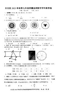 湖南省株洲市天元区2023--2024学年上学期九年级数学期末检测卷