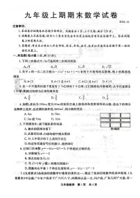 河南省新乡市辉县市2023-2024学年九年级上学期1月期末数学试题