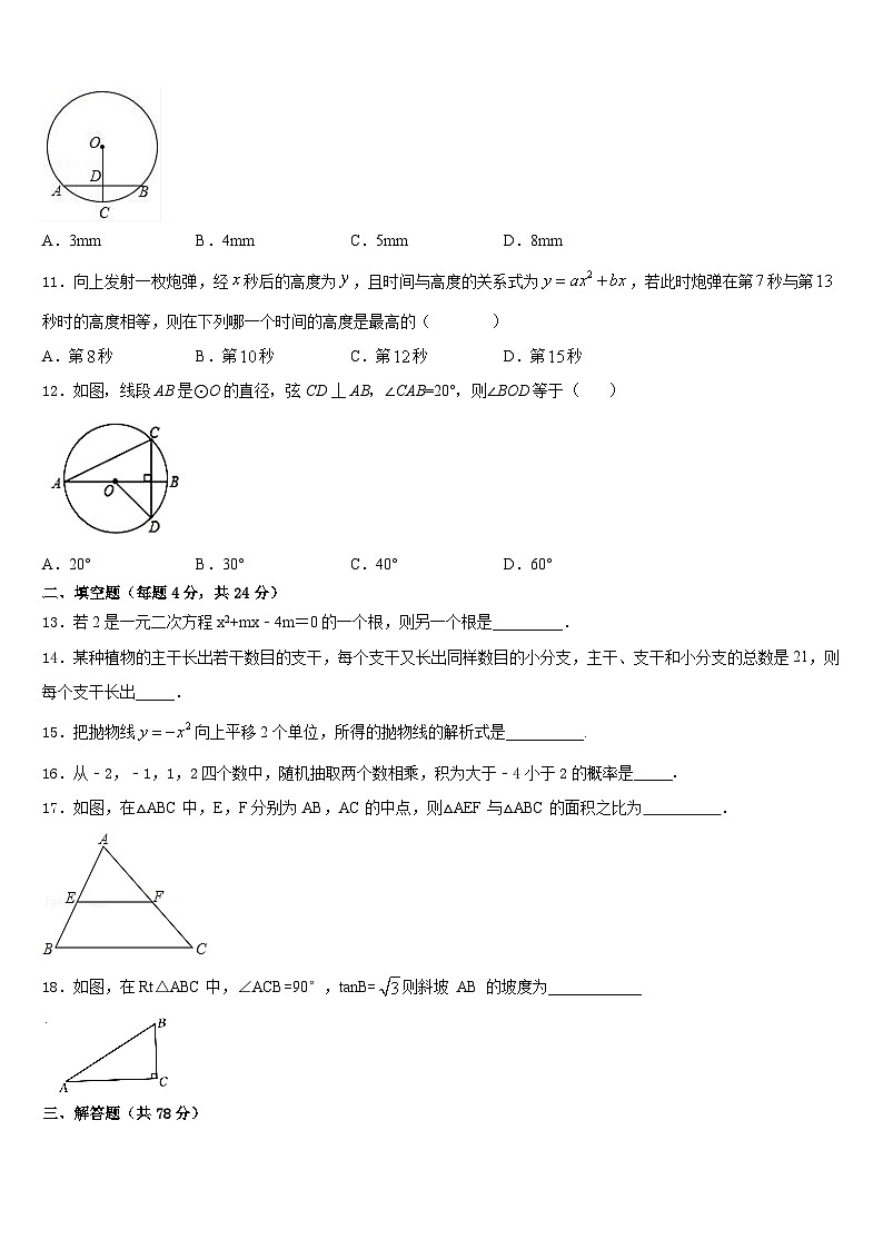 2023-2024学年河北省涿州市实验中学九上数学期末考试模拟试题含答案第3页
