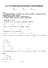 2023-2024学年黑龙江省哈尔滨市实验学校数学九上期末综合测试模拟试题含答案