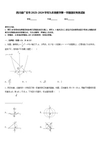 四川省广安市2023-2024学年九年级数学第一学期期末预测试题含答案