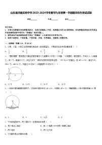 山东省济南实验中学2023-2024学年数学九年级第一学期期末综合测试试题含答案