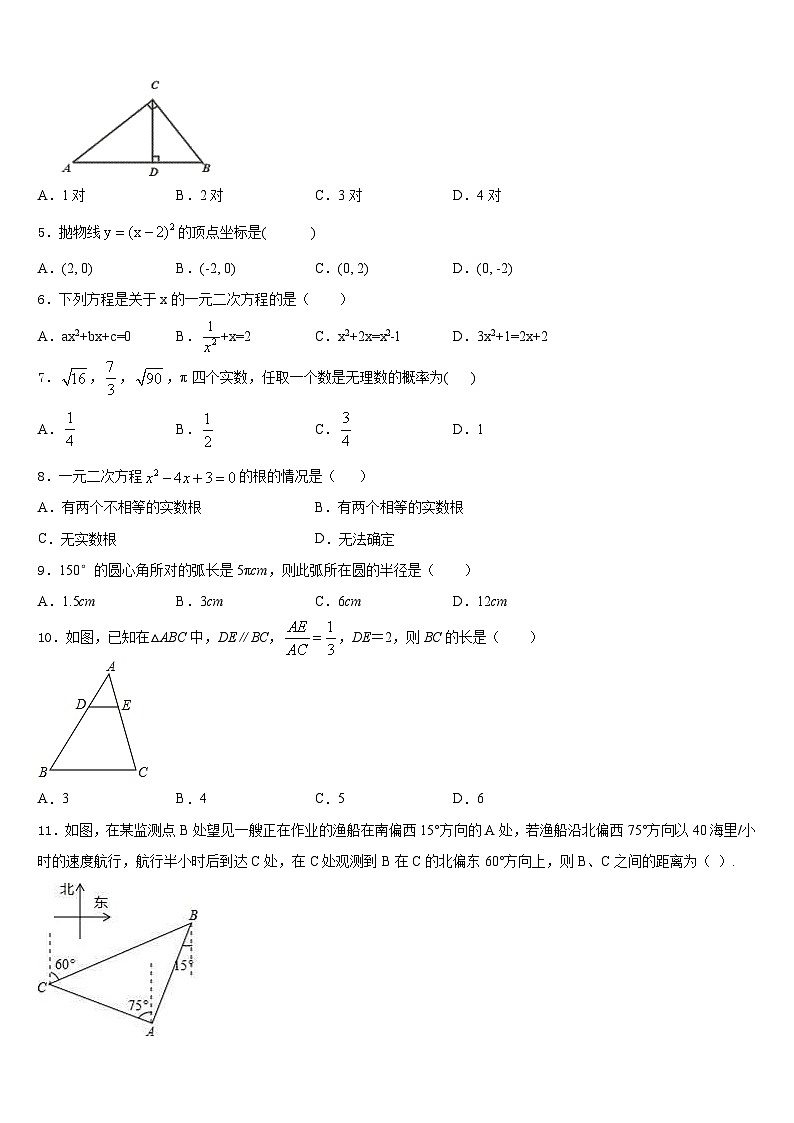 山东省滕州市洪绪镇洪绪中学2023-2024学年九年级数学第一学期期末经典模拟试题含答案第2页