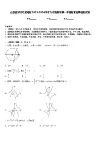 山东省潍坊市滨海区2023-2024学年九年级数学第一学期期末调研模拟试题含答案