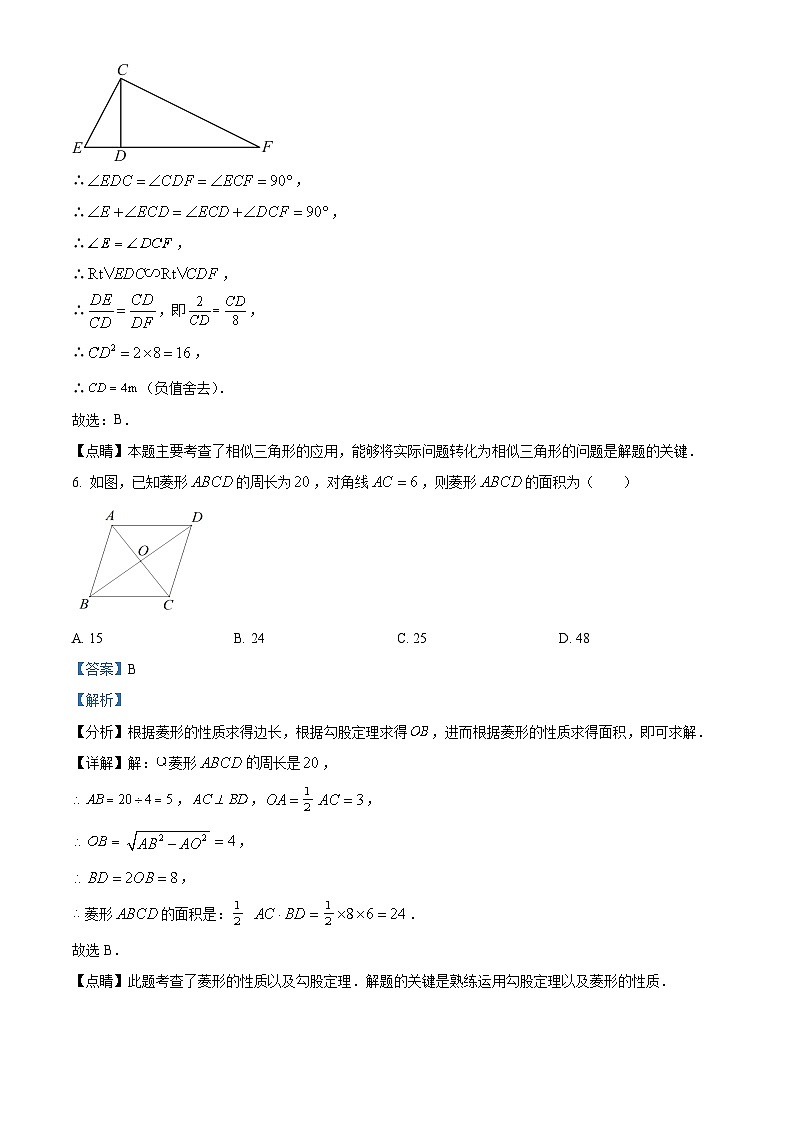 广东惠州2023-2024学年九年级上学期期末数学试题(解析版)第3页