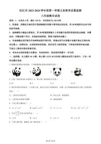 广东阳江市2023-2024学年八年级上学期期末数学试题
