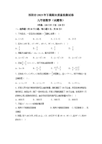 2023-2024学年湖南省永州市祁阳市九年级(上)学期期末数学试题(含解析)