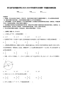 浙江省寧波市國際學(xué)校2023-2024學(xué)年數(shù)學(xué)九年級第一學(xué)期期末調(diào)研試題含答案