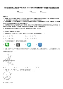 浙江省绍兴市上虞实验中学2023-2024学年九年级数学第一学期期末监测模拟试题含答案