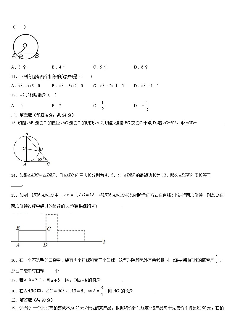 河北省邢台市第八中学2023-2024学年九年级数学第一学期期末学业水平测试模拟试题含答案第3页