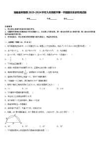 湖南省祁阳县2023-2024学年九年级数学第一学期期末质量检测试题含答案
