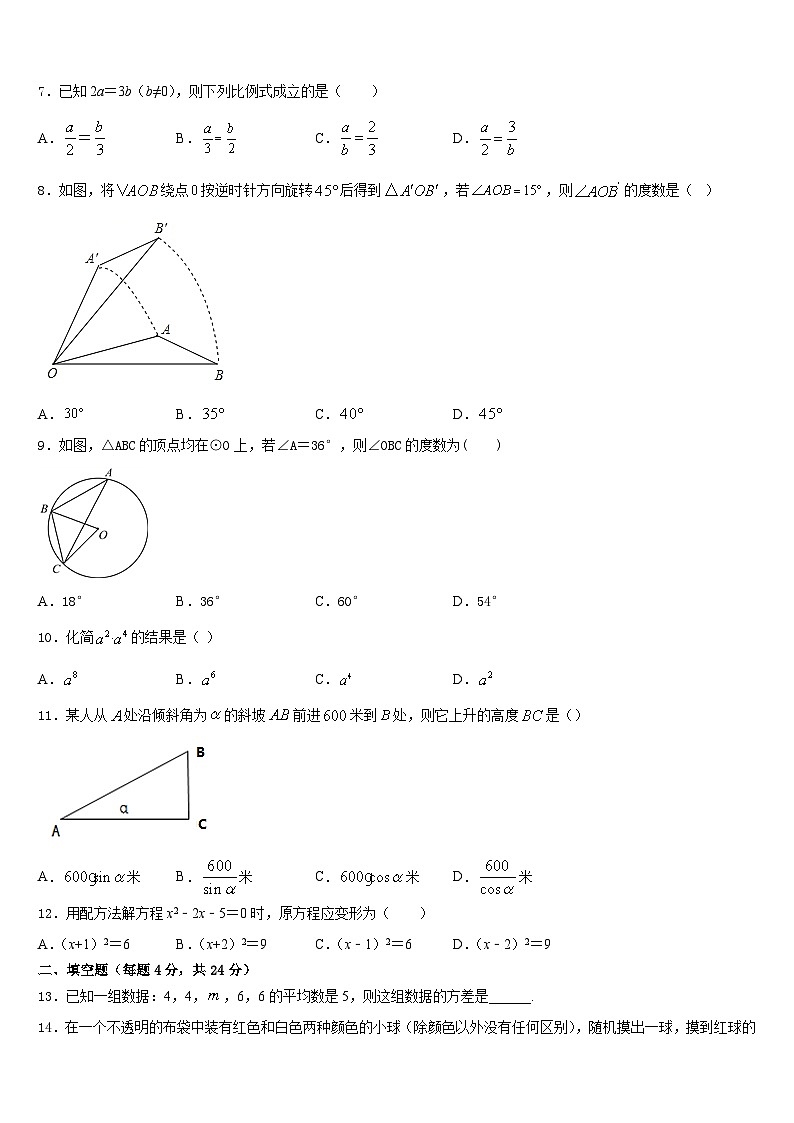 贵州省六盘水市第二十中学2023-2024学年数学九上期末复习检测试题含答案第2页