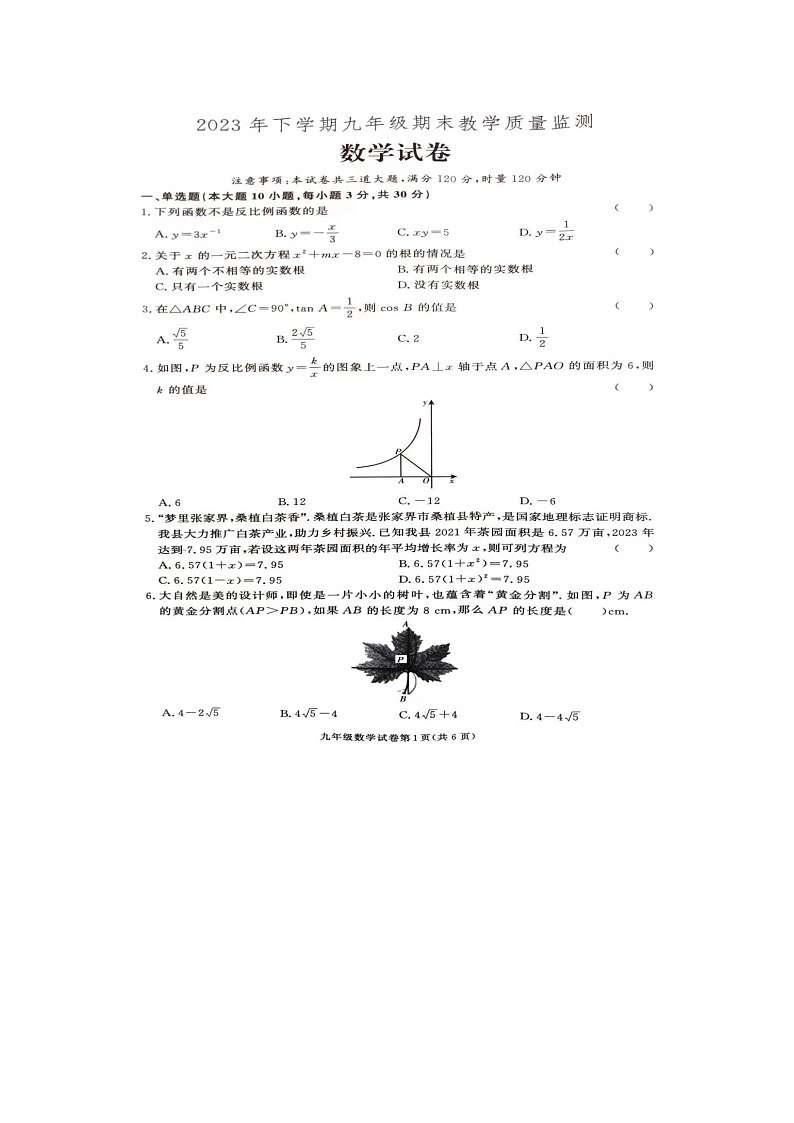 湖南省张家界市桑植县2023-2024学年九年级上学期期末考试数学试卷第1页