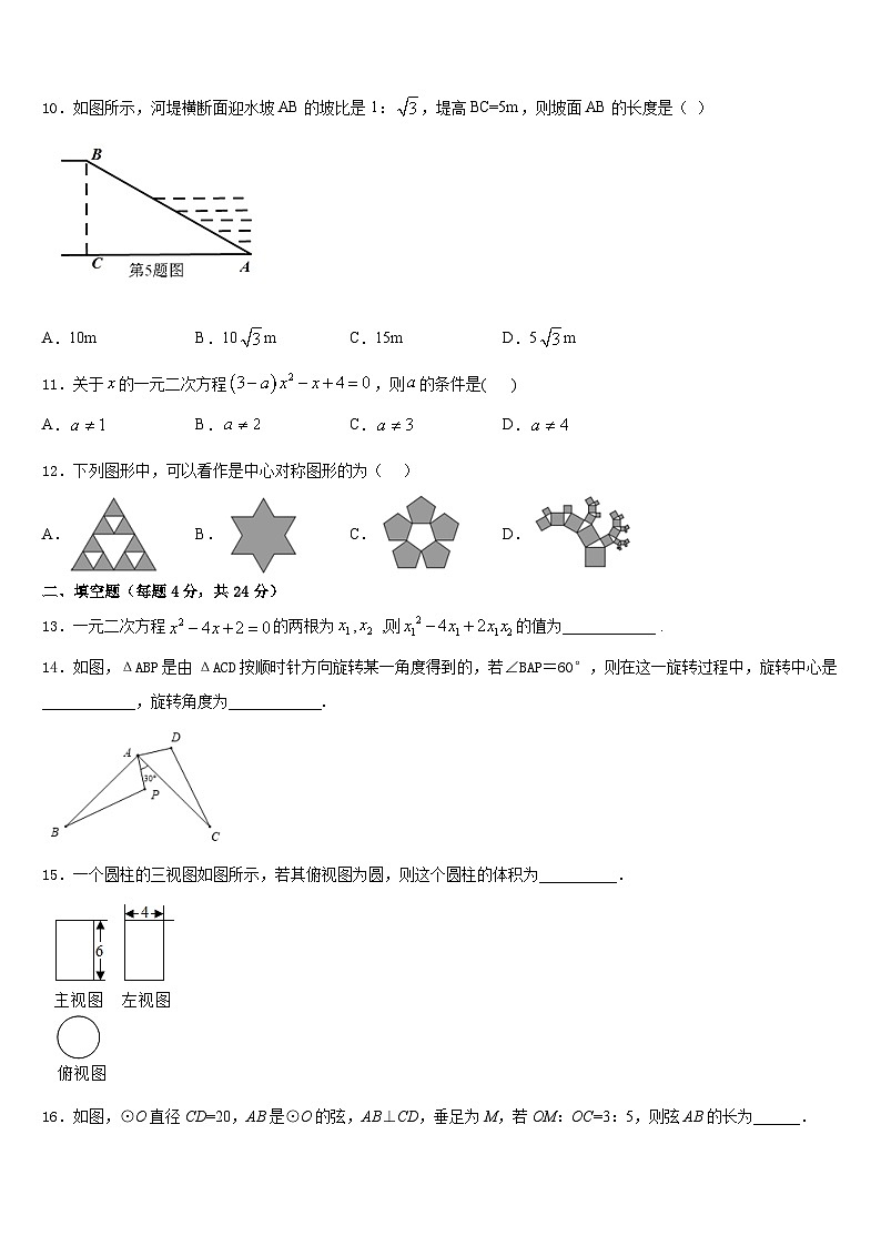 广东省广州市育才实验学校2023-2024学年九上数学期末调研模拟试题含答案03