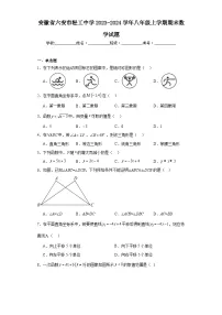 安徽省六安市轻工中学2023-2024学年八年级上学期期末数学试题(含答案)