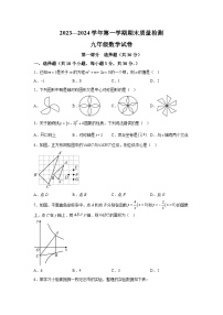 辽宁省葫芦岛市兴城市2023-2024学年九年级上学期期末数学试题（含解析）