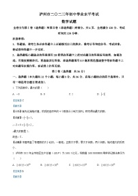 2023年四川省泸州市中考数学真题（解析版）试卷