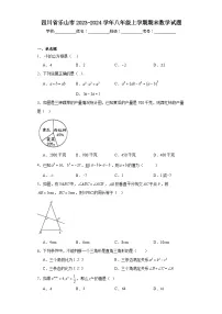 四川省乐山市2023-2024学年八年级上学期期末数学试题(含答案)